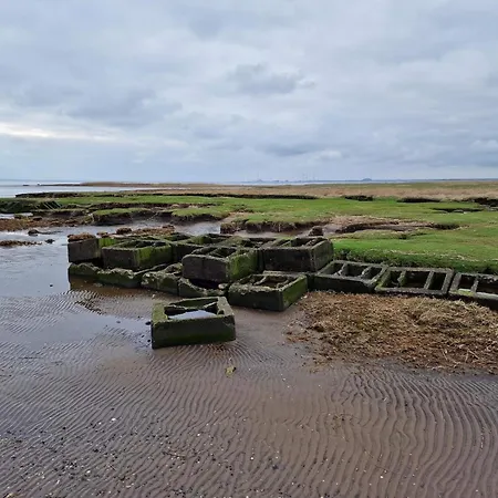 4 Person In Bramming-by Traum