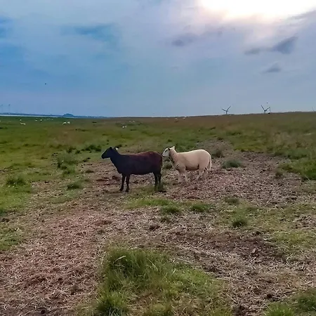 4 Person In Bramming-by Traum 別荘 Bramming