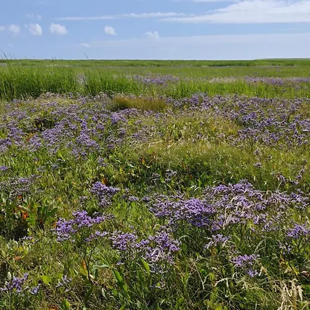 4 Person In Bramming-by Traum Bramming